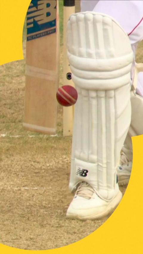 Joe Root survives review