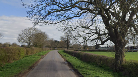 Road with trees and hedges either side