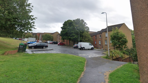 A general view of Watson Street in Dundee. There are several cars parked in a car park outside a block of flats which is made of light coloured stone. A grey path cuts through the middle of the image, between two grass verges. A large tree overhangs the car park high up on the grass verge to the left.
