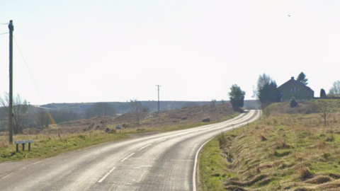A quiet bending country road with long grass on either side. In the distance is a house