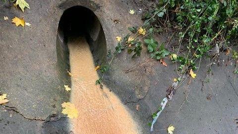 A close-up of a pipe opening, with brown coloured waste flowing out of it. to the sides of the pipe are leaves and plants. 