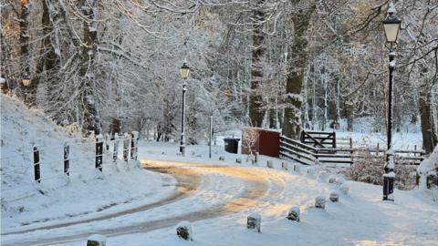 Snow lays on a narrow roadway amongst trees with early morning light glinting off the surface