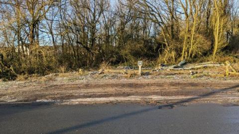 Several chopped trees lie across the muddy entrance path to the Killingworth Waggon Ways. They are surrounded by more trees and shrubs.