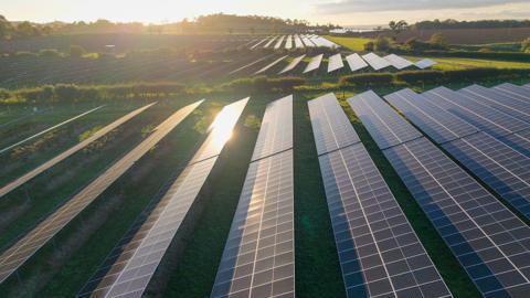 Rows of solar panels in green fields and between hedgerows. 