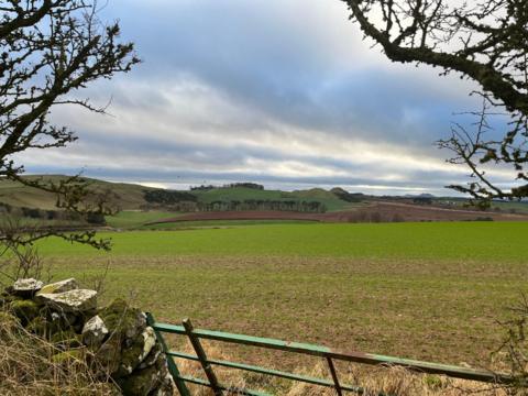 Hume, The Scottish Borders