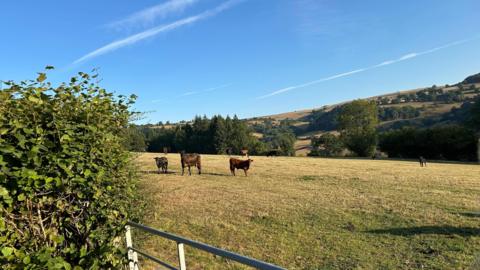 Chirk