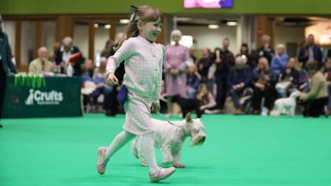 A young girl dressed in pink running around with her miniature schnauzer 