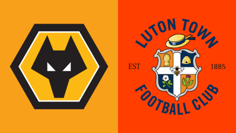 Wolves v Luton graphic