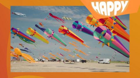 Kites in the sky