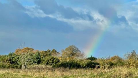 Blue sky with a few clouds and a rainbow arcing out from the centre with trees and grass in front