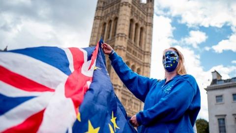 A woman waving a British and an EU flag outside Parliament