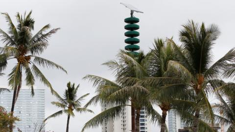 A tsunami warning tower in between palm trees at Kakaako Waterfront Park in Honolulu, Hawaii, November 28, 2017