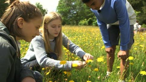 Young people observing flowers