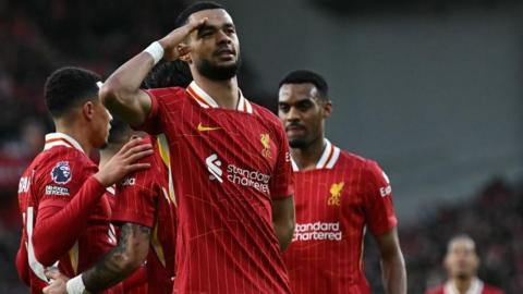 Liverpool players celebrate scoring against Ipswich