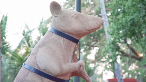 a statue of magawa wearing his harness and medal