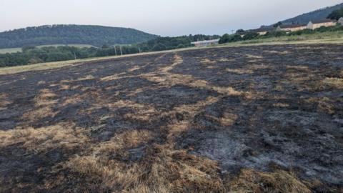 A large field on a hillside, blackened by fire, with more hills in the distance