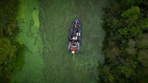 Blue-green algae at Lough Neagh