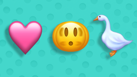 Emojis for a pink heart, shaking head, and goose