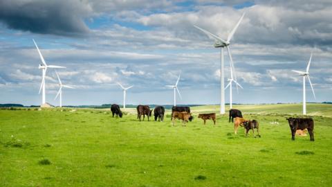 Wind turbines in Northumberland