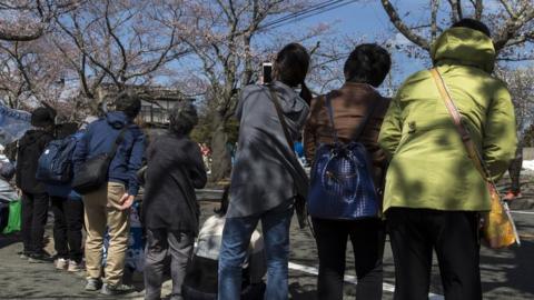 Residents return to look at cherry blossom