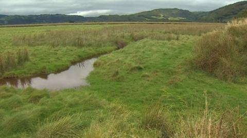 Gwarchodfa RSPB Ynyshir