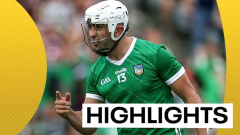 Aaron Gillane celebrates scoring Limerick's second goal