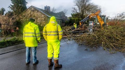 Workers in County Cork try to clear a fallen tree and a power line from a road