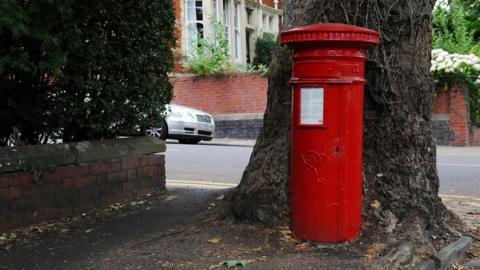 postbox near a tree