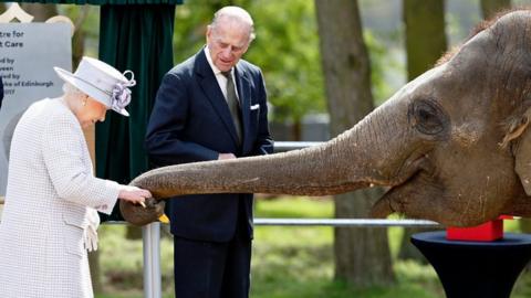 Queen feeds an elephant