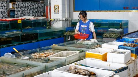 A vendor sorts items at a seafood market in Beijing, China, 23 August 2023.