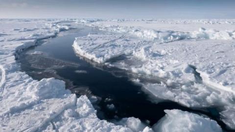 Cracks in arctic sea ice