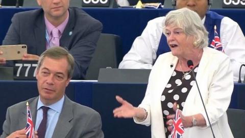 Nigel Farage and Ann Widdecombe