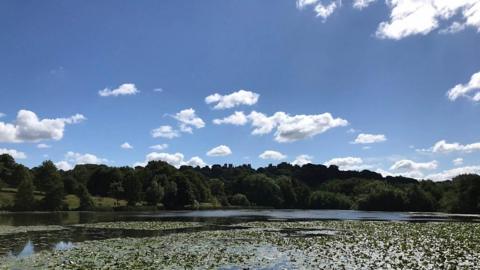 Sunshine over a lily pond in Mansfield. Picture by BBC Weather Watchers Luke & Nicola