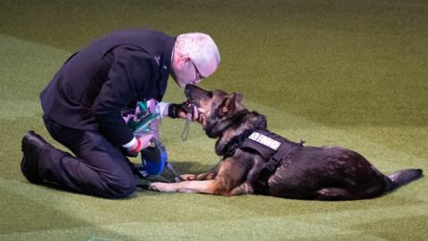 Man wearing police jacket kneels on the floor and kisses a large German Shepherd dog