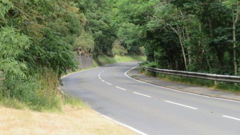 A winding country road with trees down both sides and some overhanging with a patch of sun-bleached grass in the foreground. There is a length of stone wall on one side and crash barriers on the other.
