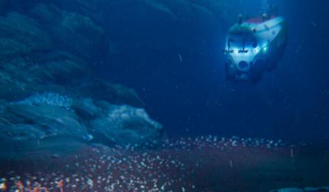 An artist's impression of a submersible vehicle exploring a deep ocean trench filled with reddish tube-worms that are emerging from the ocean floor.