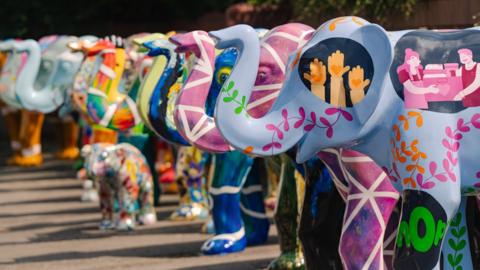 Painted elephant sculptures, standing in a multi-coloured line, with one baby elephant standing in front of them