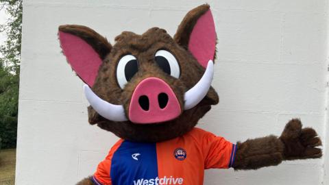Buddy the boar mascot standing in front of a white building. He has large white tusks, pink ears and is wearing the orange and blue Braintree Town kit with his arms spread.