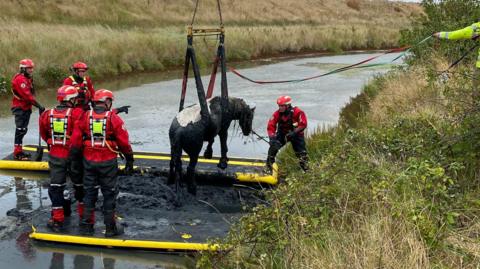 A horse in a harness being lifted from a river by a crane with five firefighters stood on sleds assisting with the rescue