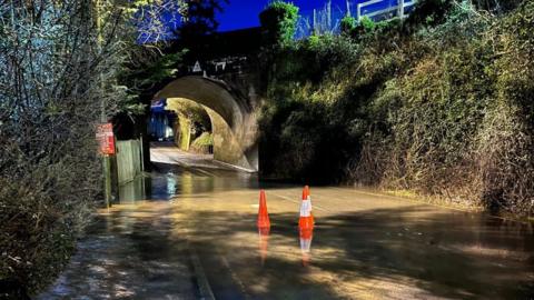 A railway tunnel with flooded water and bollards underneath