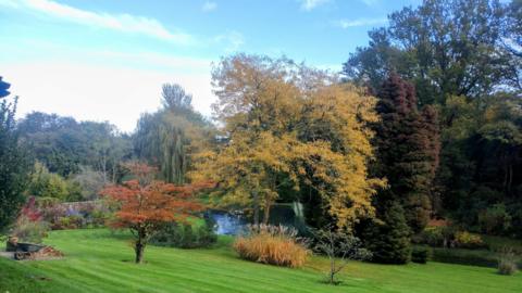 A freshly cut lawn containing several trees with colourful autumnal looking leaves