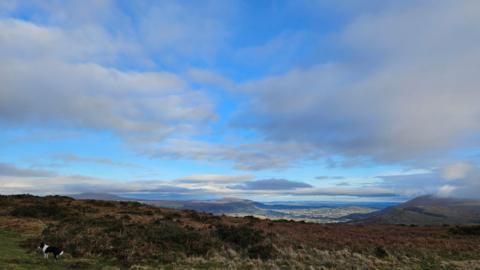 A view of green and brown hills from up high with a black and white dog to the left under a cloudy sky