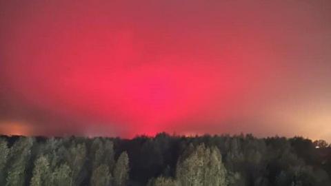 A pink/red sky above a forest of trees