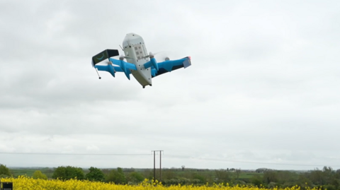A blue and white drone in flight above a field lined with yellow flowers. The device has an oval-shaped, white middle with blue propellors sticking out of it. There is a black panel with the Amazon logo on it - an arrow that looks like a smile.