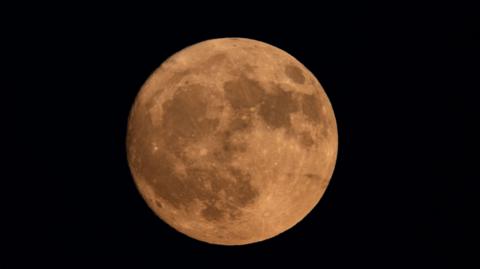 Buck moon appears slightly orange