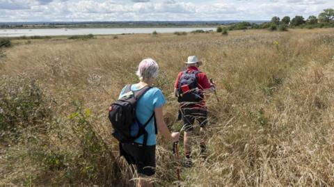 Two people with black backpacks and hiking sticks walking through tall, green and beige grass. 