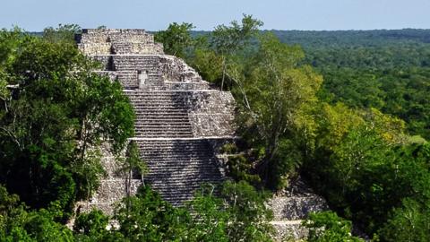 A pyramid in the Calakmul Mayan ruins in the state of Campeche.