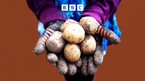 The Food Chain: Rethinking the potato