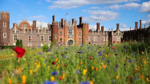 Hampton Court Palace, with a wildflower meadow in the foreground