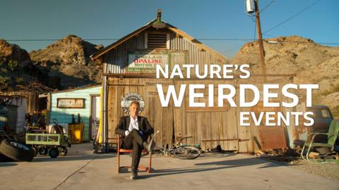 Nature's Weirdest Events